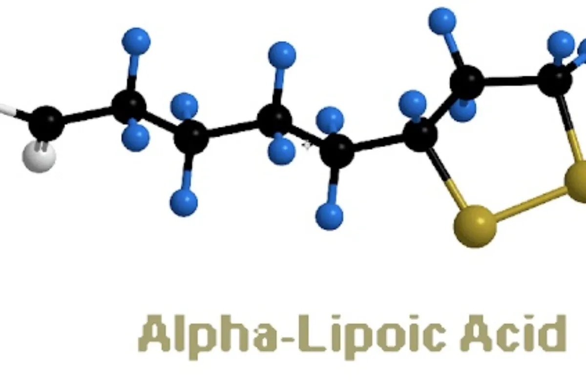 Axit alpha lipoic là gì?