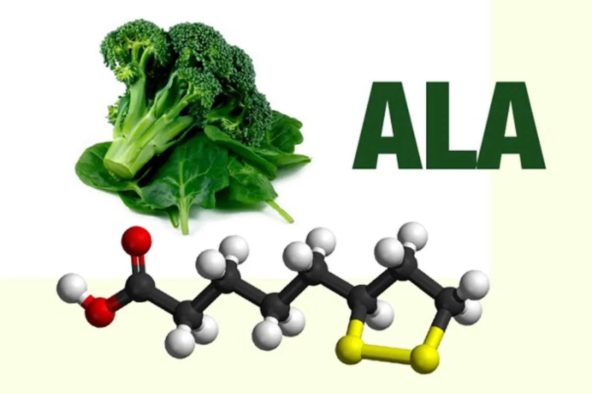 Cách dùng Acid alpha lipoic (ALA)