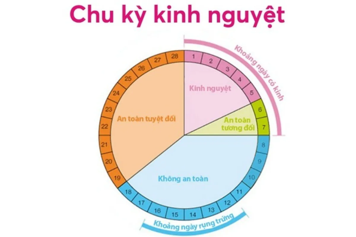 Chu kỳ kinh nguyệt là gì?